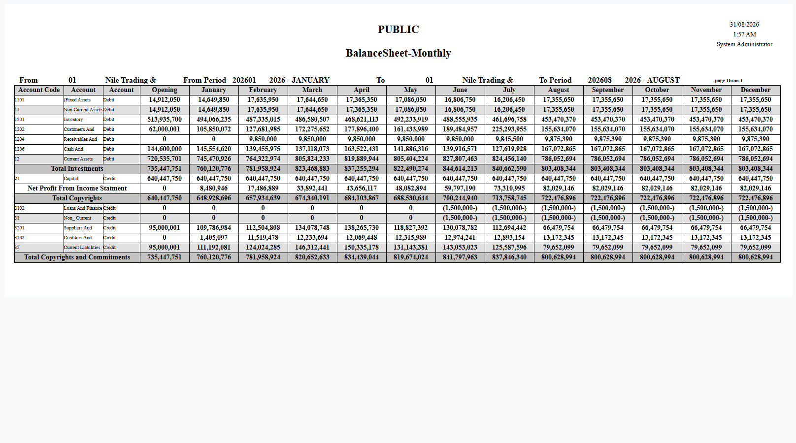 Monthly balance sheet (SYSR-FNS004)