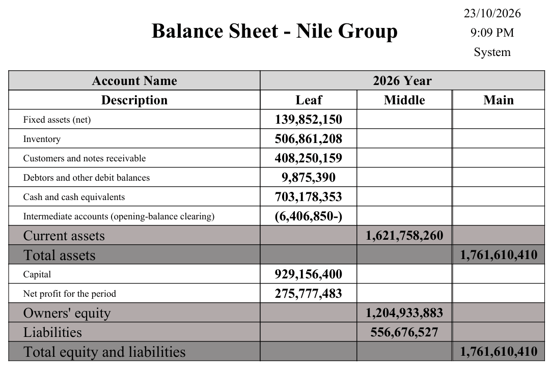 Issue-driven yearly balance sheet sample (SYSR-FNS014)