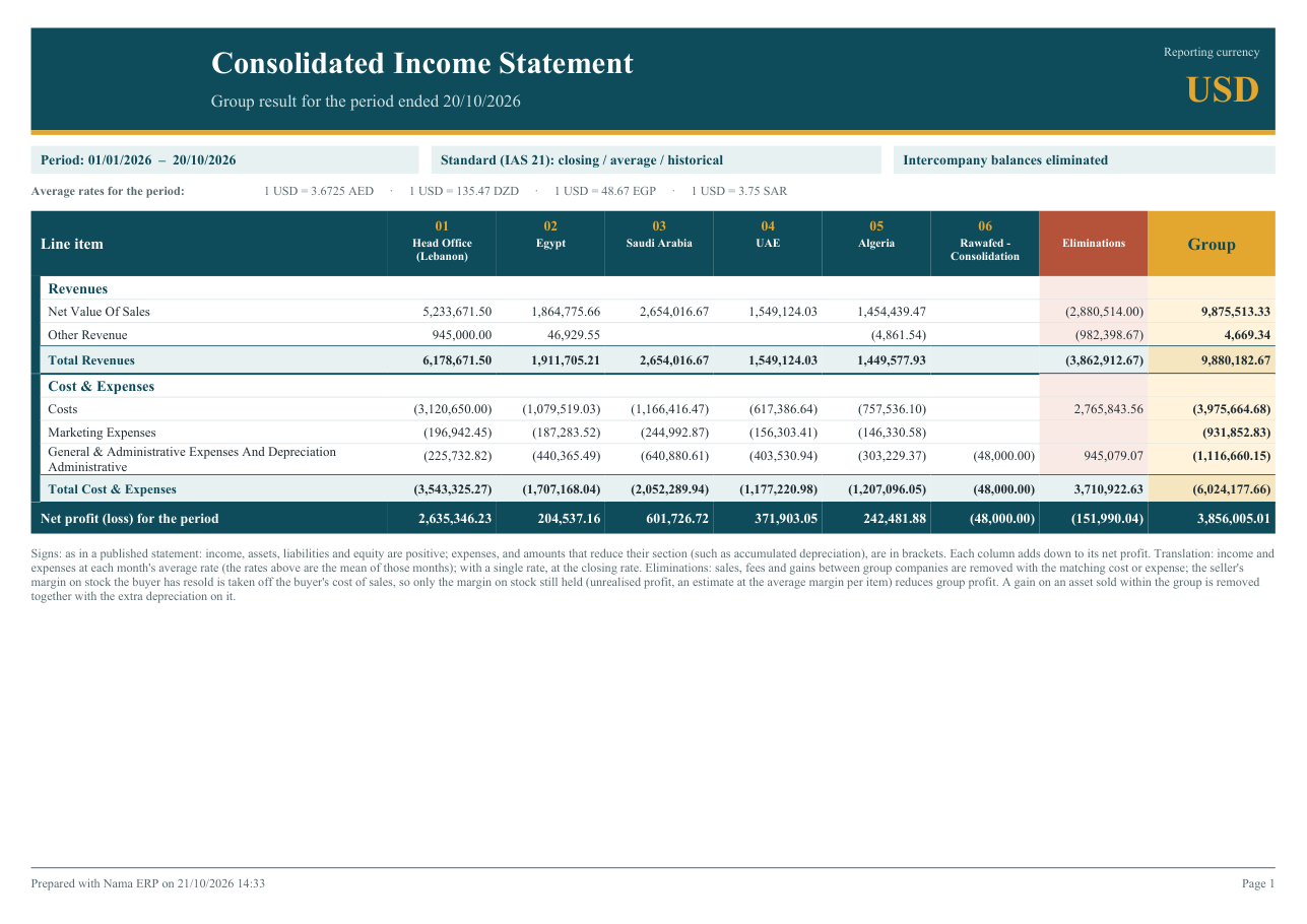 The Consolidated Income Statement, group view