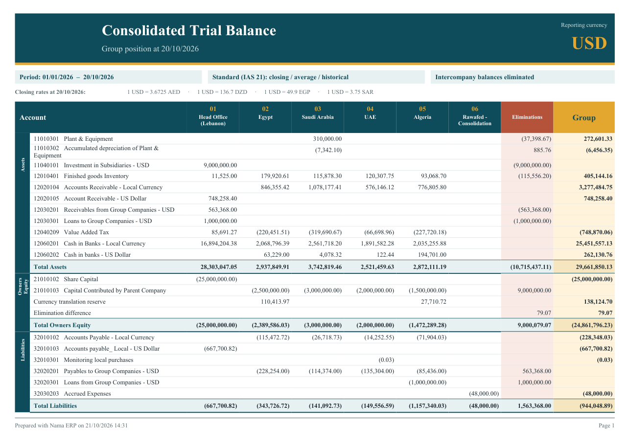 The Consolidated Trial Balance: one column per company, then Eliminations and Group