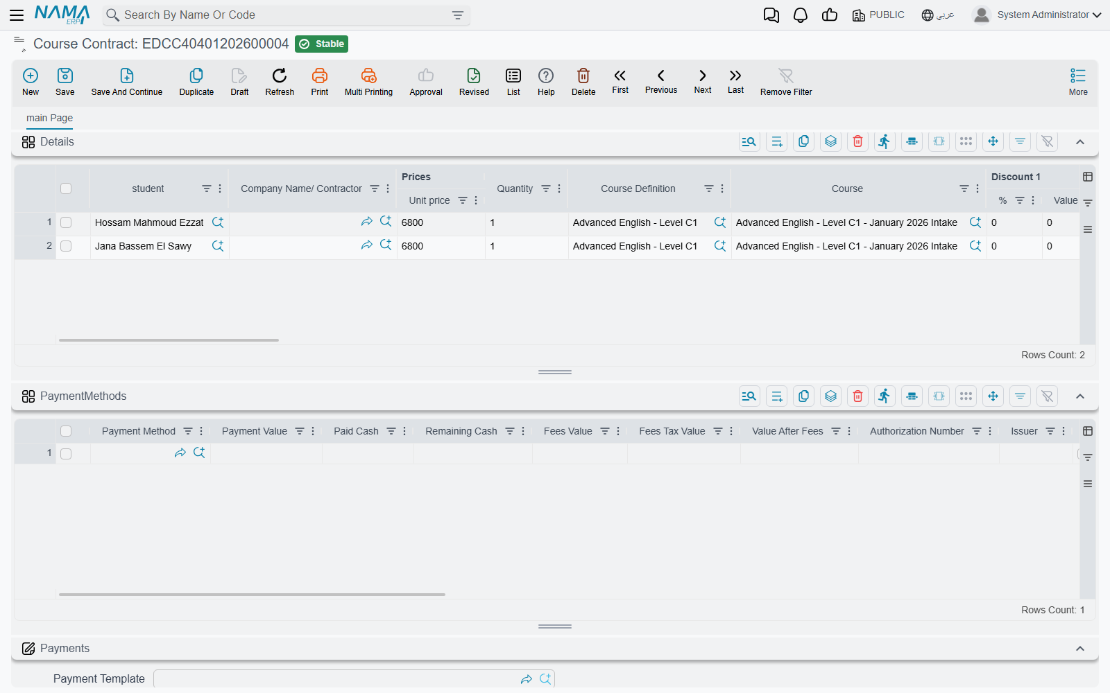 The Details grid scrolled across: tax, dimension, Net value, Account and Subsidiary columns