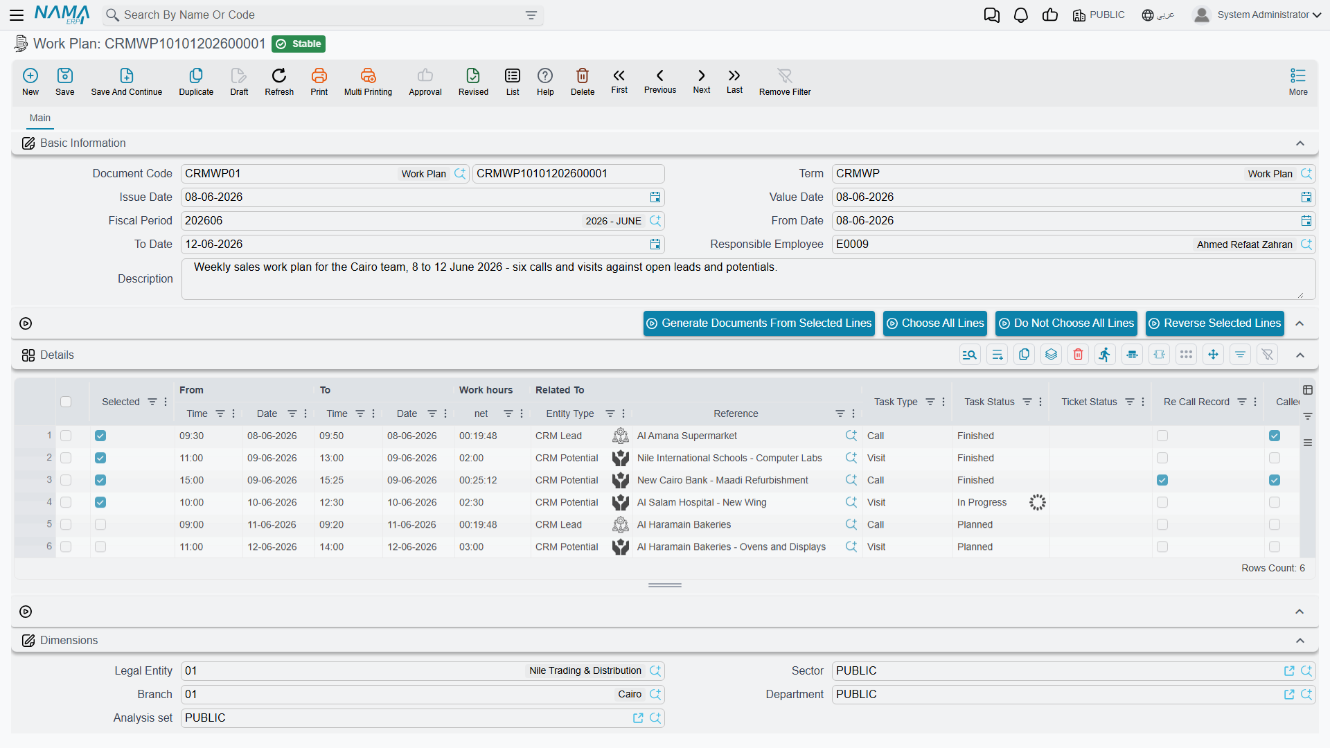 A new Work Plan, showing the Details grid and the Generate Documents From Selected Lines button