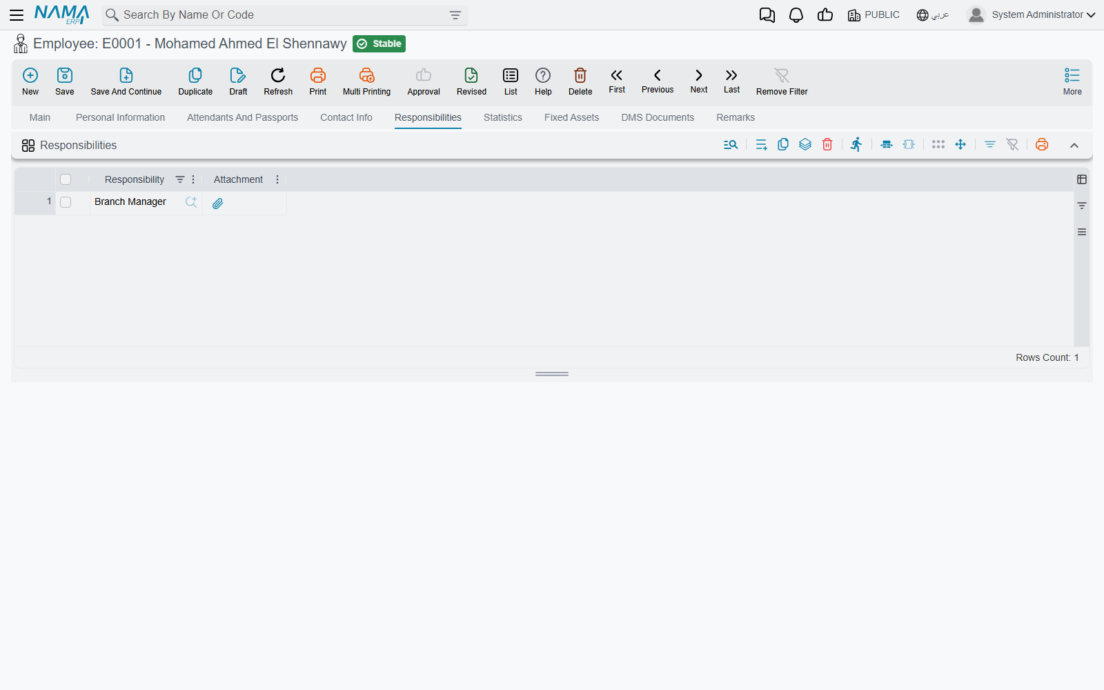 The Responsibilities tab of an employee
