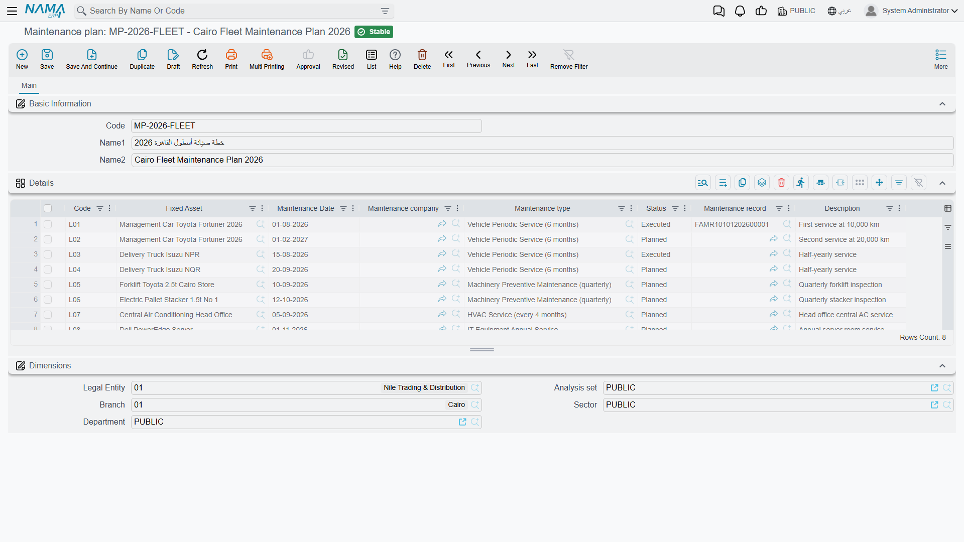 The Maintenance plan screen with its Details grid of planned visits