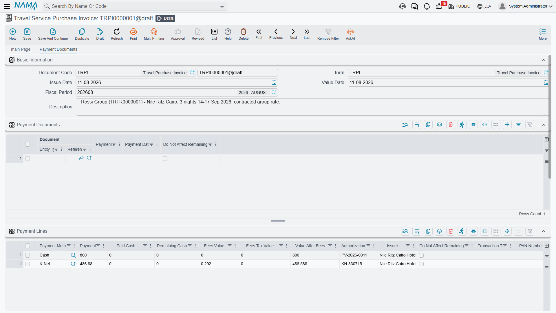 The Payment Documents tab — all four grids on one screen: payment lines, payment documents, the instalment plan and the standard terms