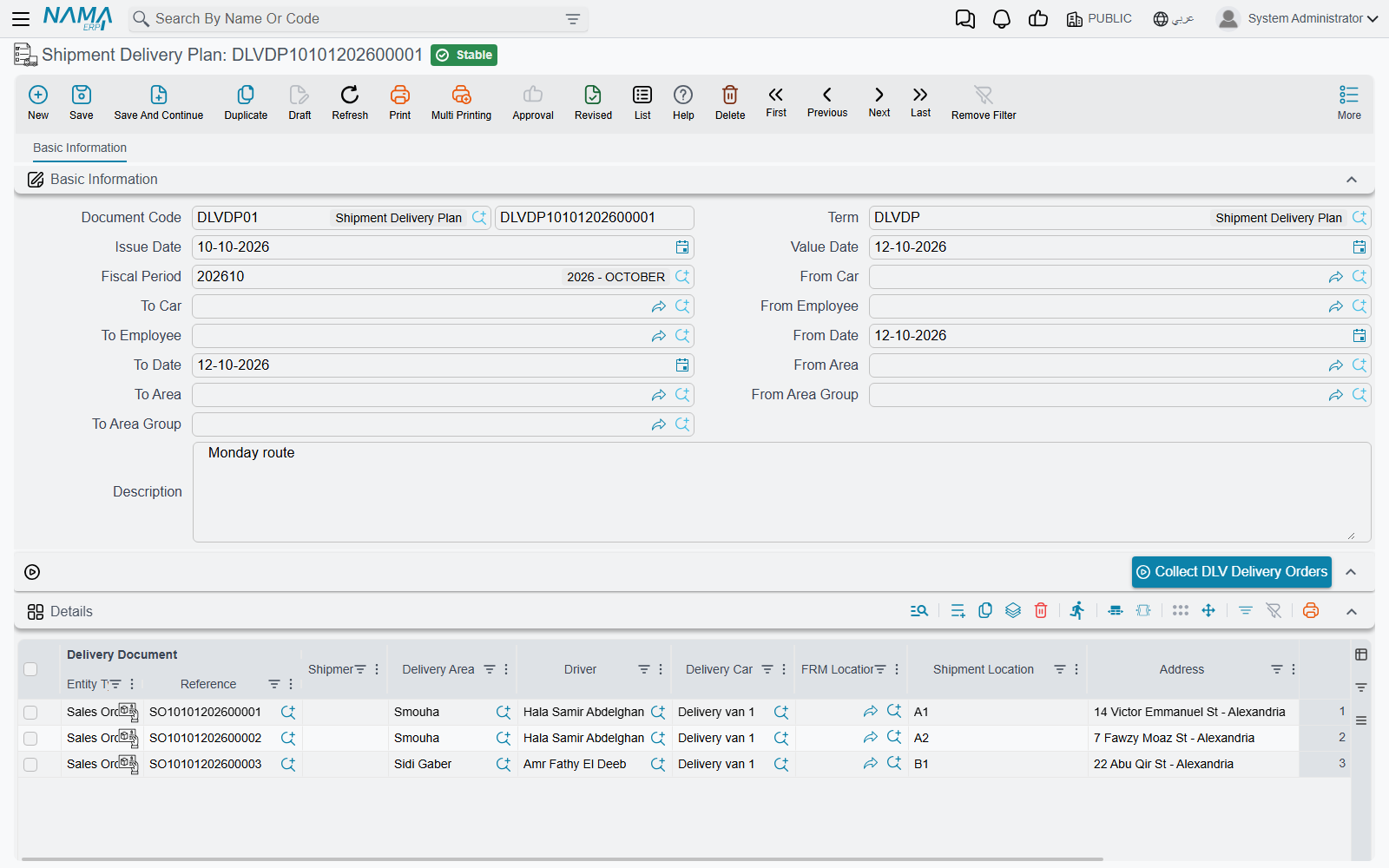 A Shipment Delivery Plan with driver, car and shipment location on each line